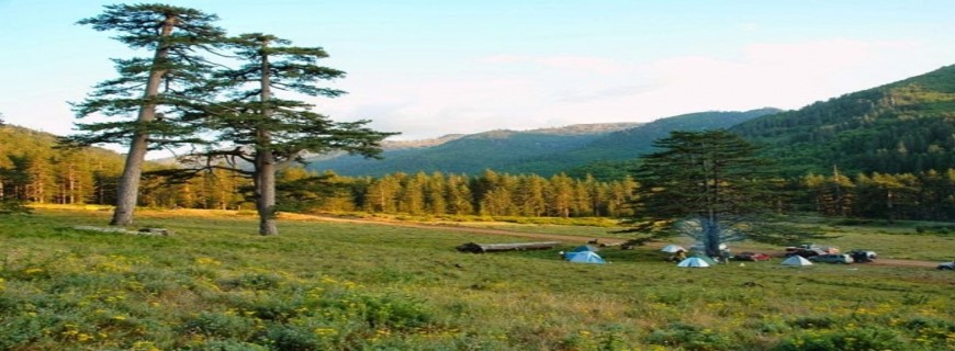 Βάλια Κάλντα - Εθνικος Δρυμός της Πίνδου
